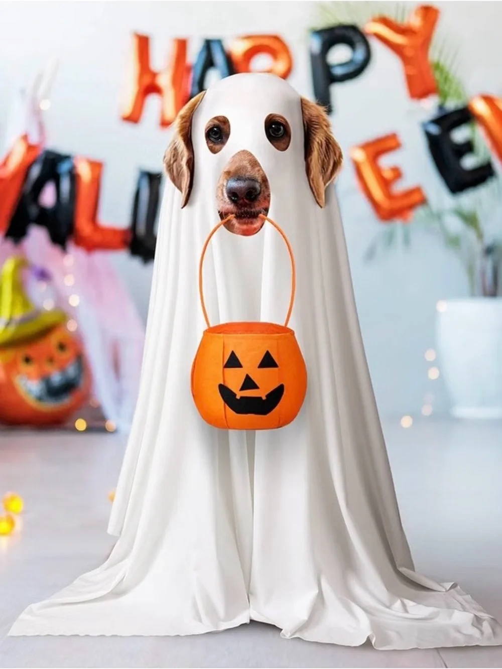 Dog Halloween Ghost Costume with Orange Pumpkin Bucket